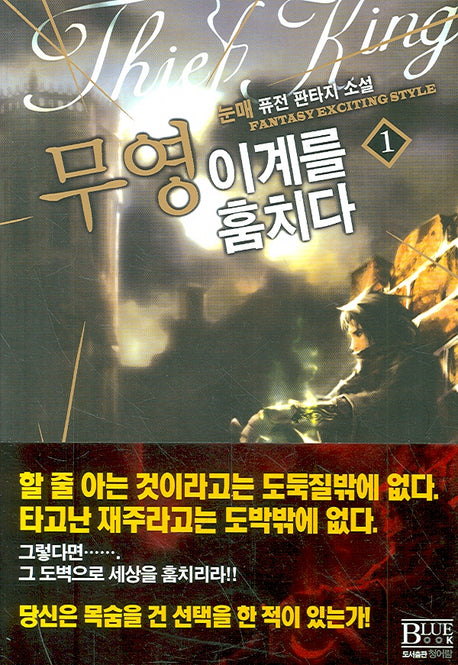 무영 이계를 훔치다 1