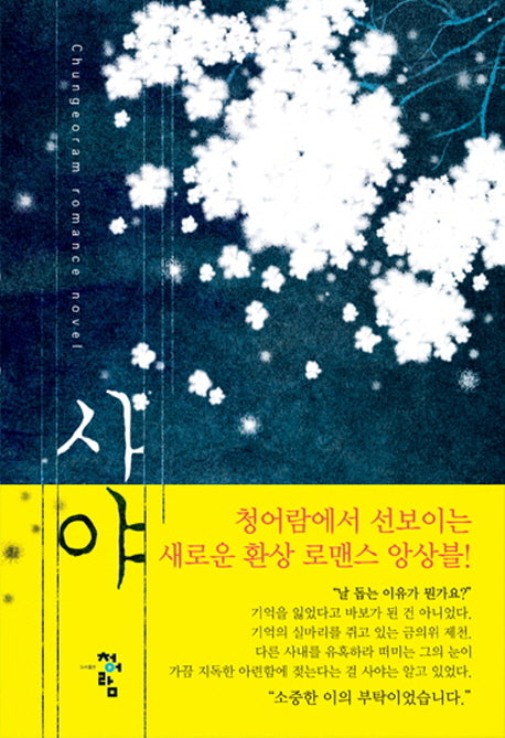 사야