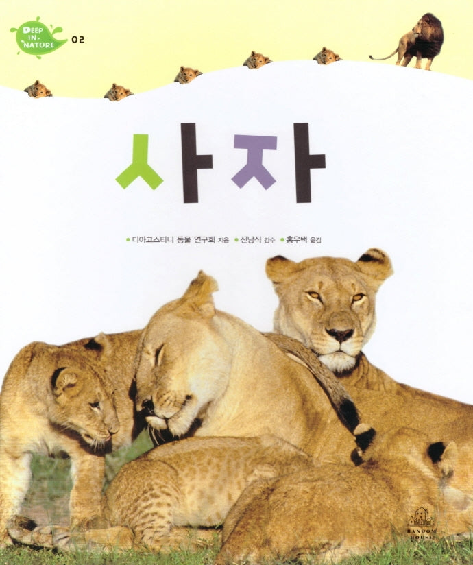 Deep in Nature 2: 사자(양장본 Hardcover)