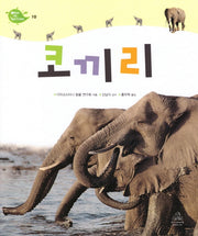 Deep in Nature 10: 코끼리(양장본 Hardcover)