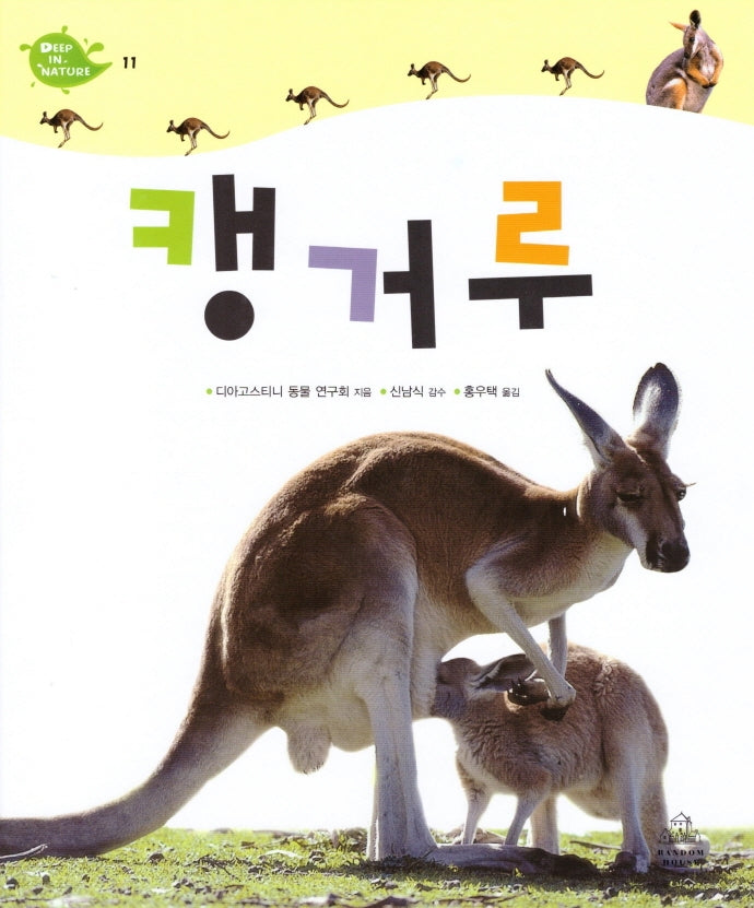 Deep in Nature 11: 캥거루(양장본 Hardcover)