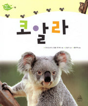 Deep in Nature 12: 코알라(양장본 Hardcover)