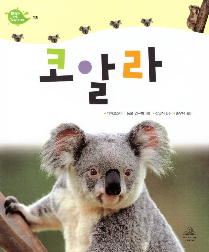 Deep in Nature 12: 코알라(양장본 Hardcover)