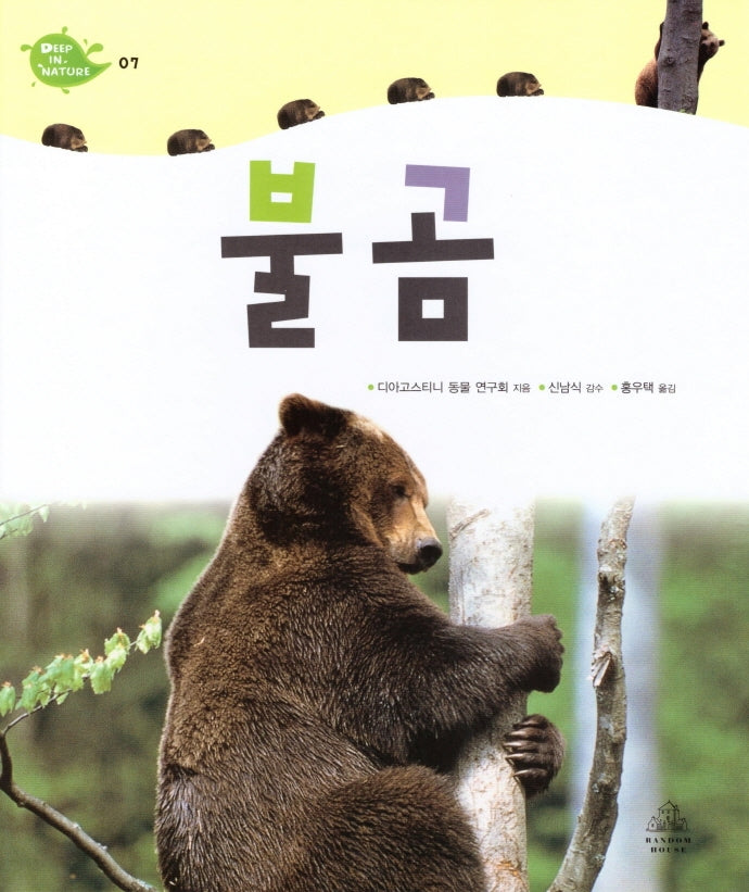Deep in Nature 7: 불곰(양장본 Hardcover)