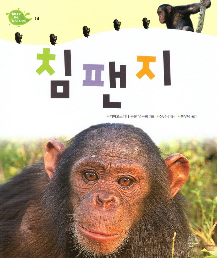 Deep in Nature 13: 침팬지(양장본 Hardcover)