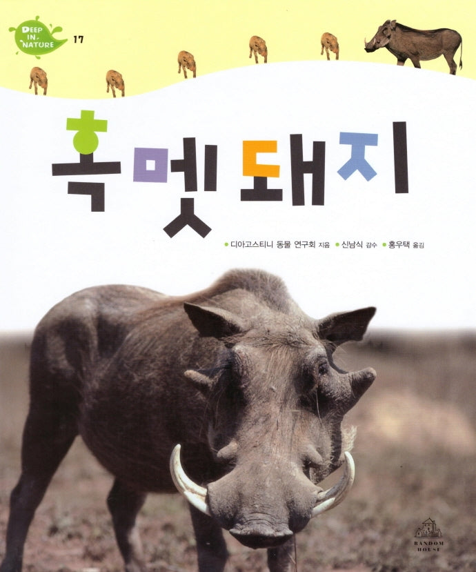 Deep in Nature 17: 혹멧돼지(양장본 Hardcover)