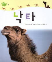 Deep in Nature 18: 낙타(양장본 Hardcover)