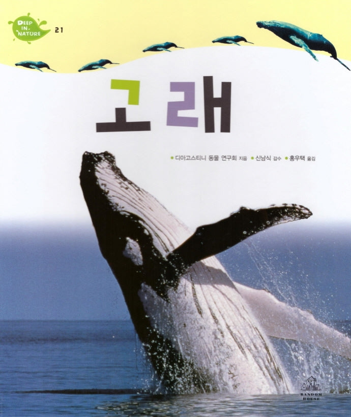 Deep in Nature 21: 고래(양장본 Hardcover)