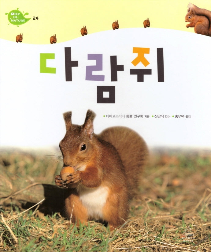 Deep in Nature 24: 다람쥐(양장본 Hardcover)