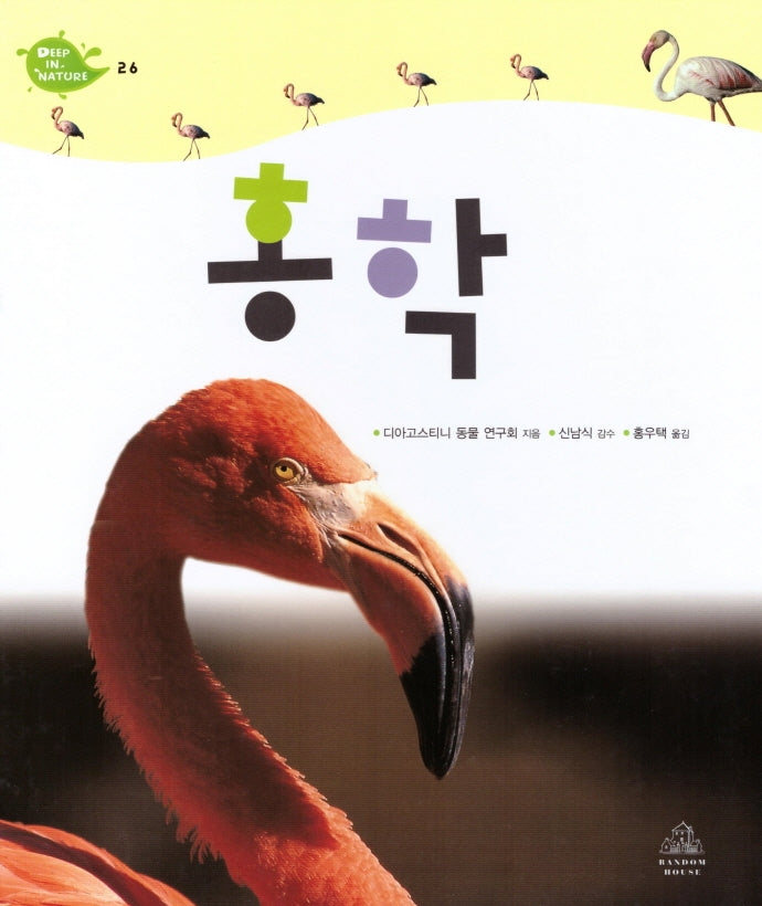 Deep in Nature 26: 홍학(양장본 Hardcover)