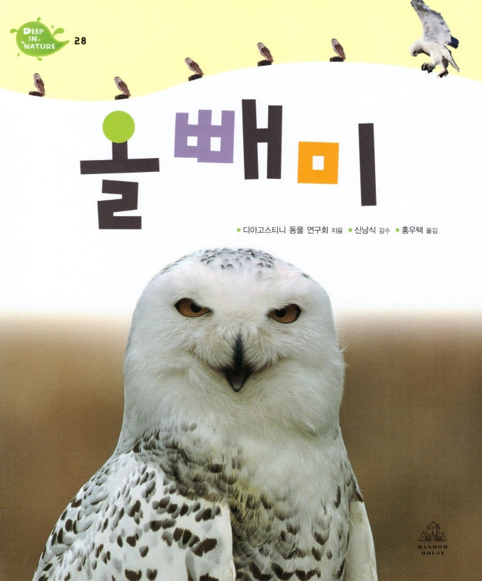 Deep in Nature 28: 올빼미(양장본 Hardcover)
