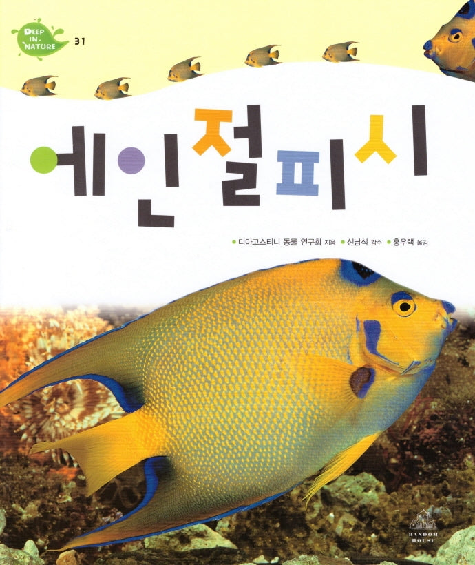 Deep in Nature 31: 에인절피시(양장본 Hardcover)