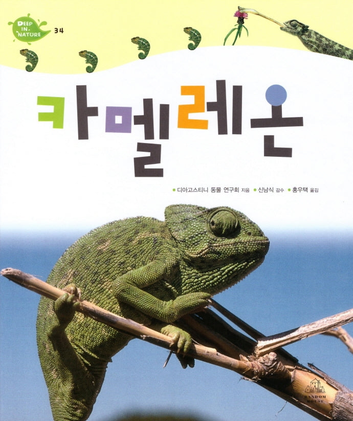 Deep in Nature 34: 카멜레온(양장본 Hardcover)