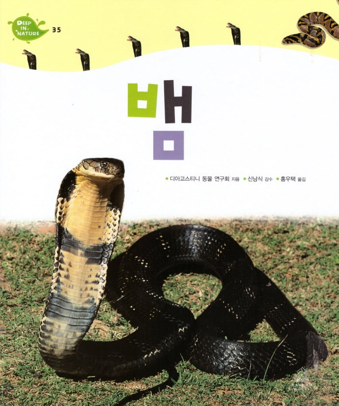 Deep in Nature 35: 뱀(양장본 Hardcover)