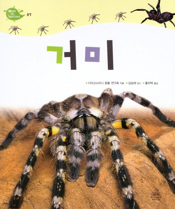 Deep in Nature 37: 거미(양장본 Hardcover)