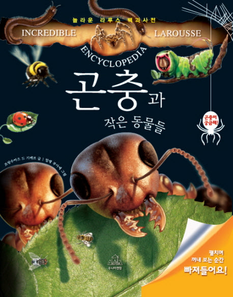 곤충과 작은 동물들(놀라운 라루스 백과사전)(플랩북)
