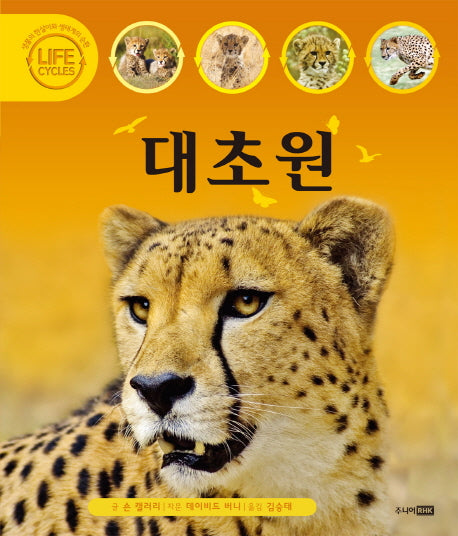 대초원(Life Cycles)(양장본 HardCover)