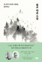 불교 마음 수업(내 안의 단단한 내면을 발견하는)