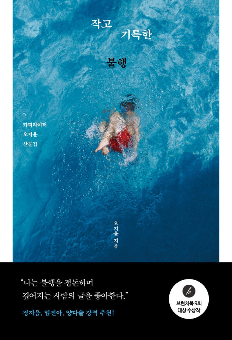작고 기특한 불행