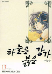 하늘은 붉은 강가 13(애장판)