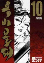 용비불패 10(애장판)