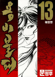 용비불패 13(애장판)