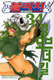 블리치 34