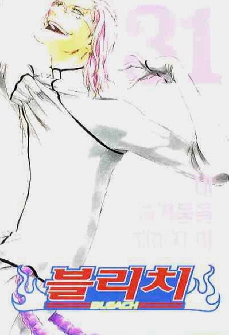 블리치 31