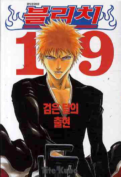 블리치 19