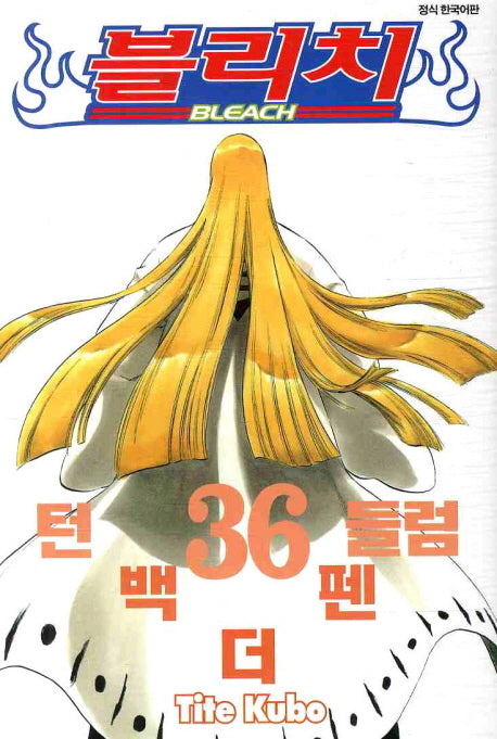블리치 36