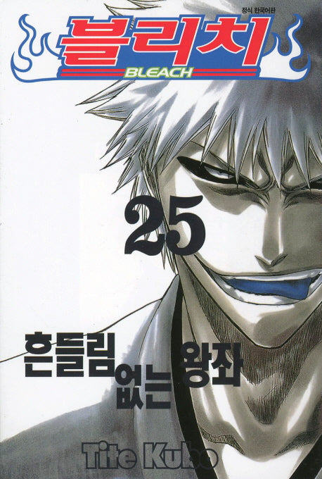 블리치 25