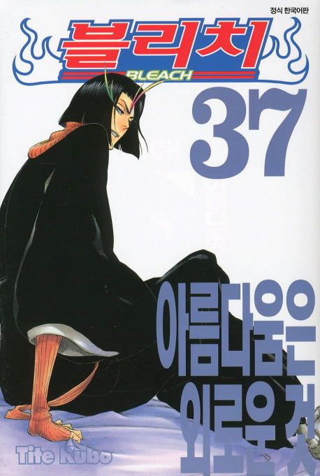 블리치 37