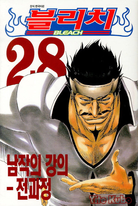 블리치 28