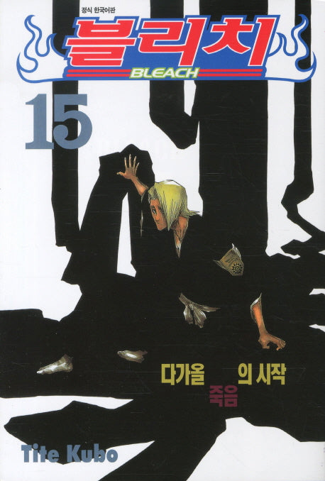 블리치 15