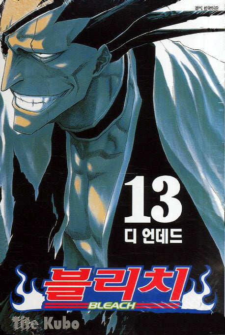 블리치 13