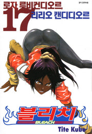 블리치 17