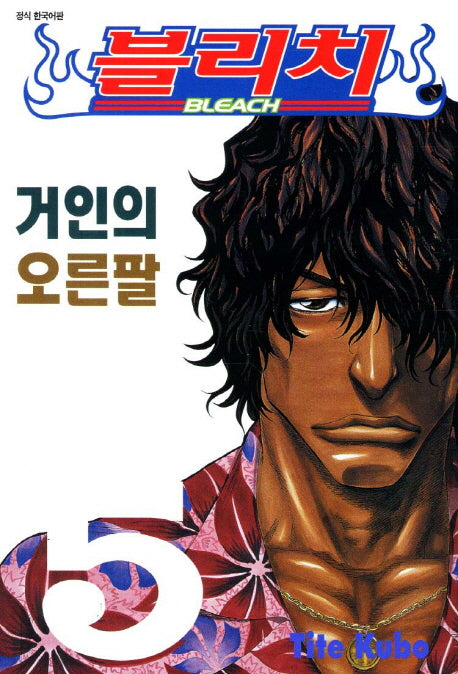 블리치 5: 거인의 오른팔
