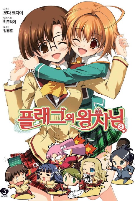 플래그의 왕자님 3(J노블(J Novel))