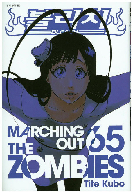블리치 65