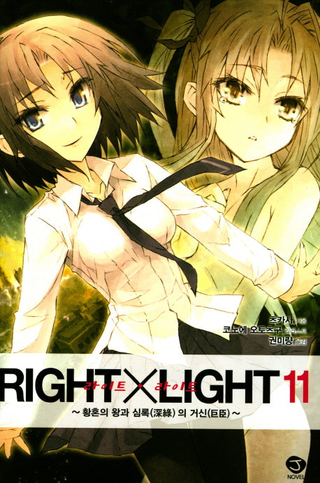라이트X라이트 11(J노블(J Novel))