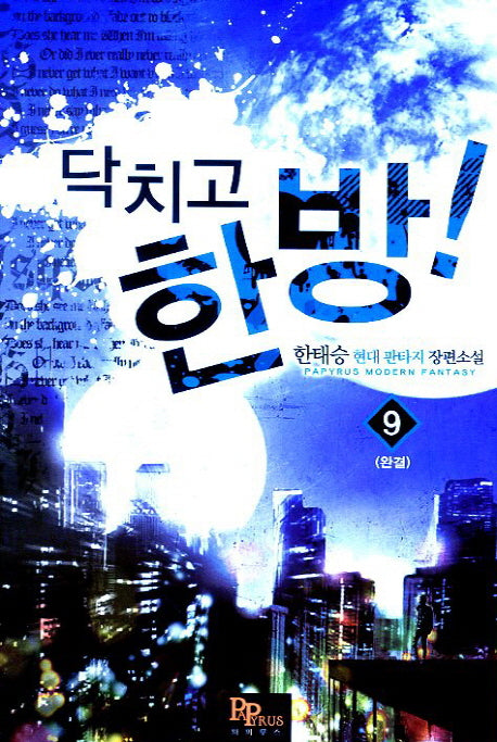 닥치고 한방 9(완결)