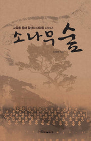 소나무 숲