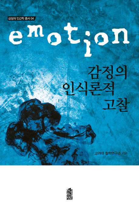 감정의 인식론적 고찰(감성의 인간학 총서 4)