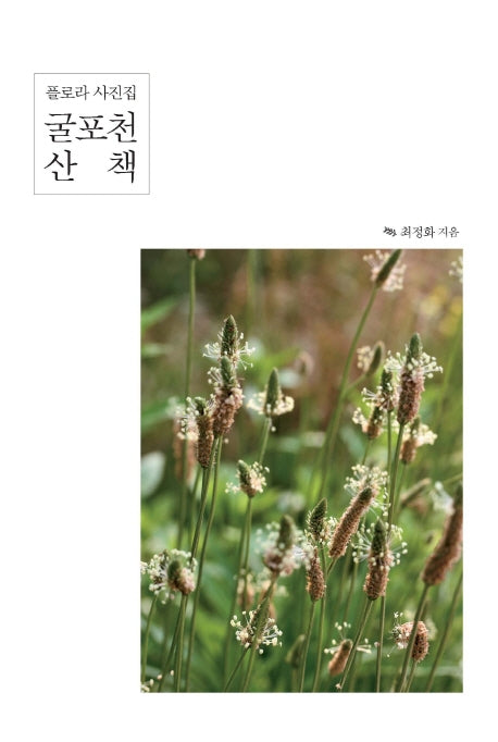굴포천 산책
