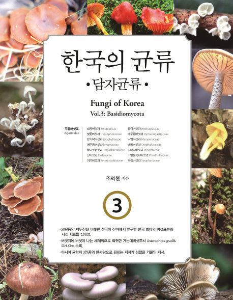 한국의 균류 3: 담자균류