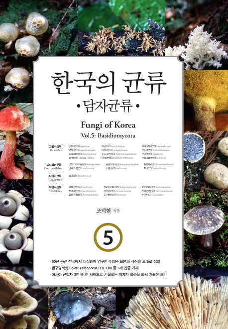 한국의 균류 5: 담자균류(양장본 Hardcover)
