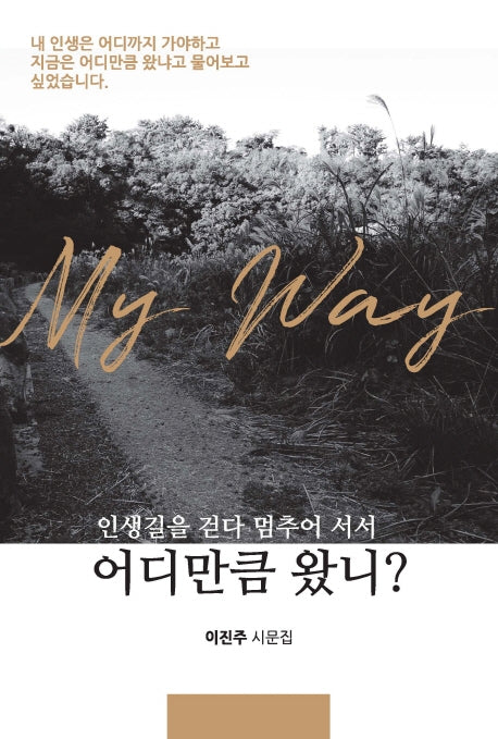 어디만큼 왔니?(인생길을 걷다 멈추어 서서)