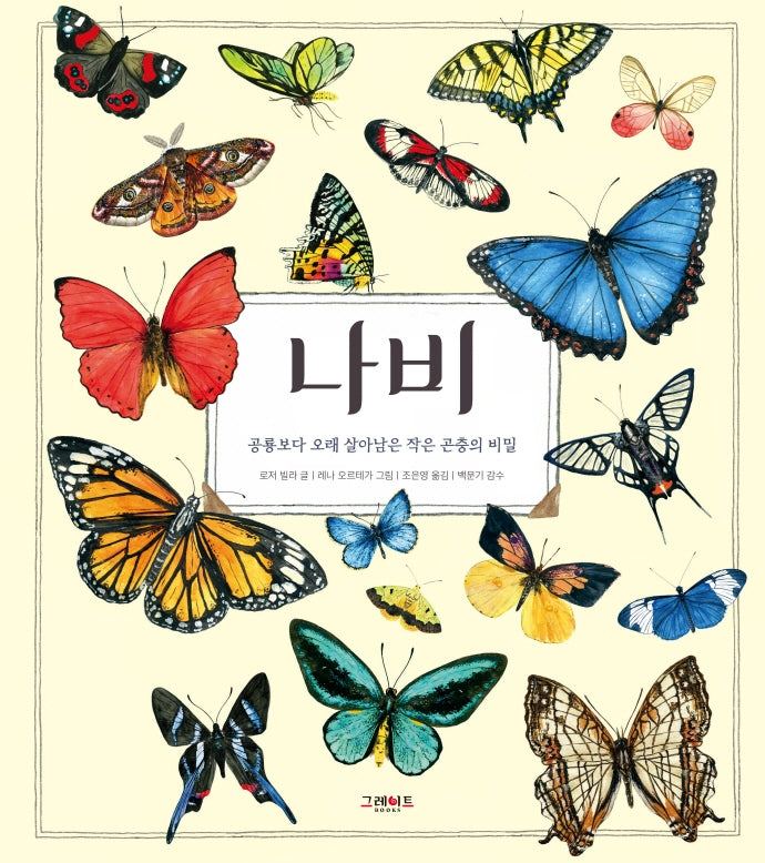 나비(양장본 Hardcover)