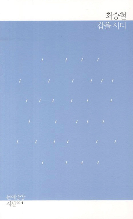 갑을 시티(문예중앙 시선 14)