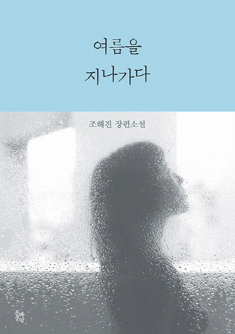 여름을 지나가다(양장본 HardCover)